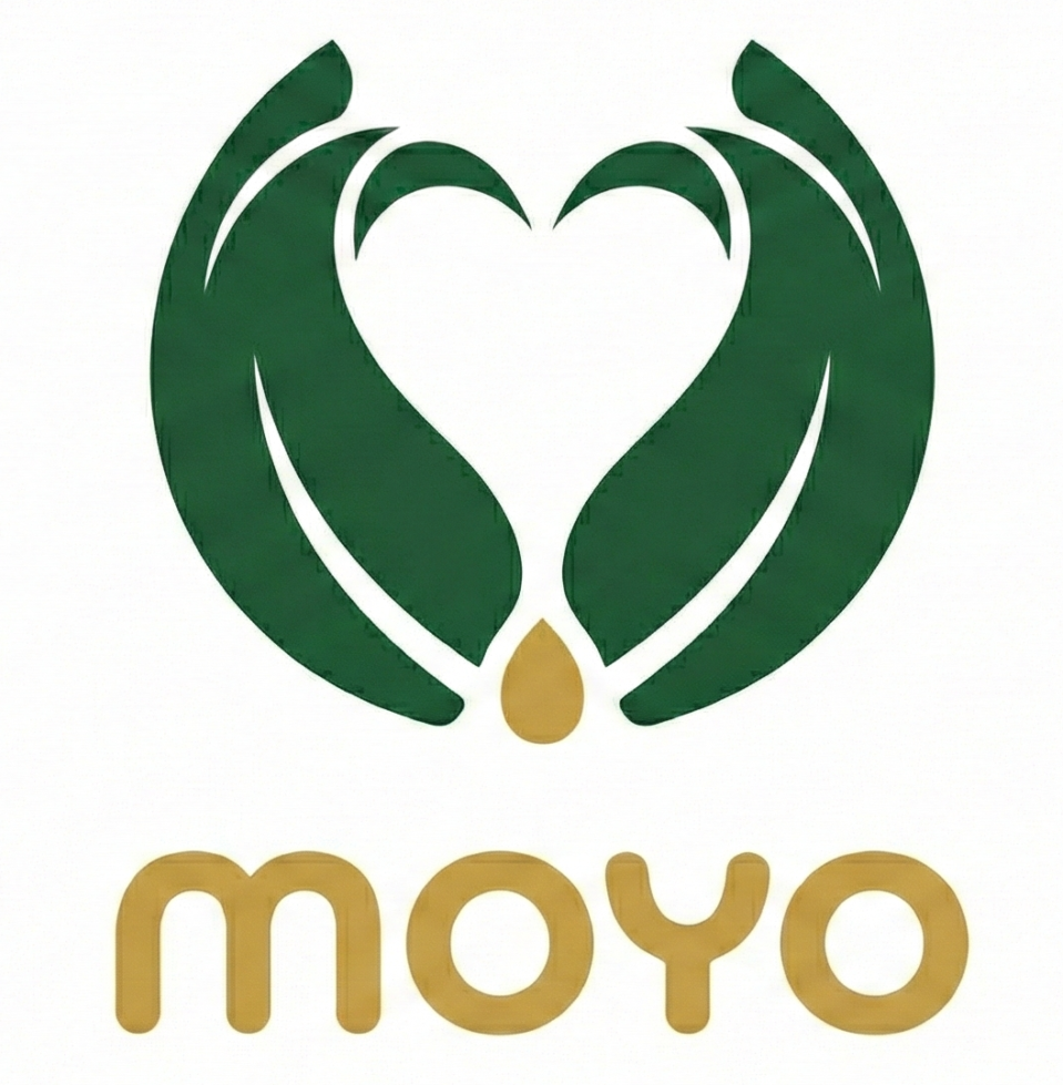 bi.moyoafrique.com